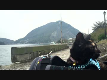 【猫旅】　世界遺産（三角西港）とあずき② 【癒し】
