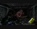 【実況】BIOHAZARD6 part30【クリス編part10】