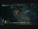 【ダークソウル3】擬態して隠れんぼ第2弾 4人目