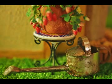 野良猫式Jonny'sカフェ　花と野菜を育てたい！編