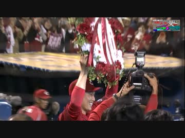 カープ新井さんヒロイン