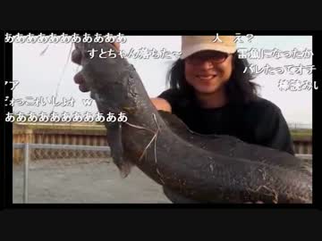 【2016/04/26】雷魚　爆釣