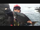 berutan(ベル子)　【ニコ生魚釣り配信者】