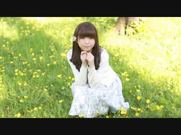 【いえねこ】 ハルイチ。 【踊ってみた】