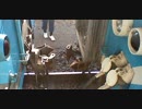 JR四国 松山駅 キハ54+32連結