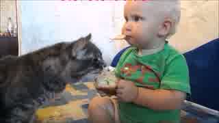 猫と一緒にパン食べる子供