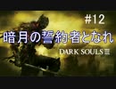 薪の王を捜し出せ【ダークソウル3】＃１２