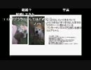 やみんずたいむず＃【４月27日分】