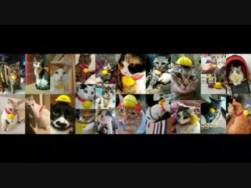 熊本地震の被災された方にぬこテロ！