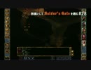 教養としてBaldur's Gateを嗜む #28