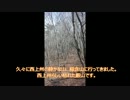 西上州稲含山～ヤマセミ倶楽部（代表・竹内秀樹）の山行記録