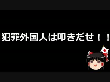 【ゆっくり保守】在日コリアンら、ヘイト与党案に対し修正を求める。