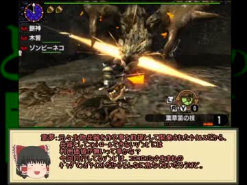 とあるｼﾋﾞﾙﾄﾞﾝの交差狩猟 part17