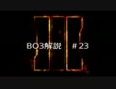 【BO3】チームデスマッチの動き方　後付け解説