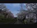 初心者だけどR3で花見に行きたい!!
