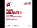 Enjoy The Ride (The Checkup Remix) / Adamwah