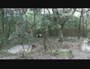 20151220 幸浜（コウヒン）と幸浜の飼育員さんインタビュー。