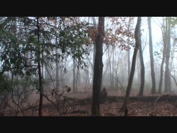 三年目狩猟生活（その６３）