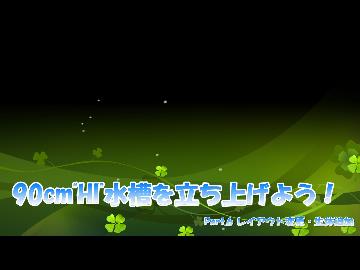 90cm"HI"水槽を立ち上げよう！　Part.6