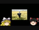 ゆっくり怪談　９話　「くねくね」
