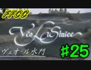 【実況】フリーダムな自分がFFCCで命の水を求めて旅にでる。#25