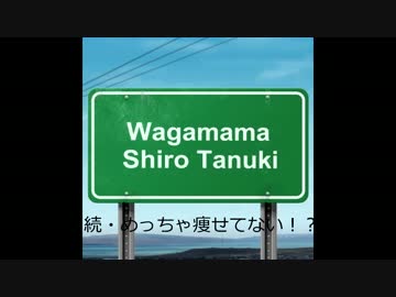 わがまま白たぬき 2016 春 その2