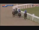 謎の元ペルー馬アヤファスカ、再びオールウェザーに挑戦する