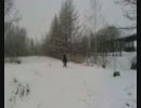 季節外れの積雪と愛馬ポーレ③
