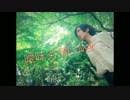 【べー】曖昧劣情Lover【踊ってみた】