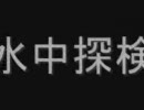 GBA版ドンキーコング３をネタプレイで103％ part13