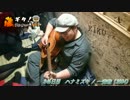 【藤ギタ！】ハナミズキ/一青窈【246日目】
