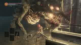 ダークソウル3 寵愛の指輪 貯水槽の獣2匹を簡単ノーダメ攻略 ニコニコ動画