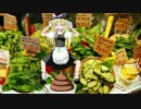 サラダバーでウンコドバーしたUDK先輩.BB