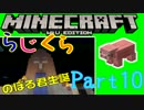 【マイクラwiiU】#10天然少女とおじいちゃんクラフト【らじくら】
