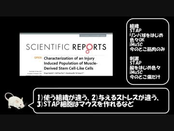 STAP細胞は本当にアメリカで再現されたのか検証してみた