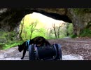 【猫旅】　あずきと雄橋　【旅猫】