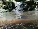 水の音を約10分聞くだけの動画