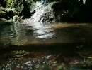 水の音を約5分聞くだけの動画