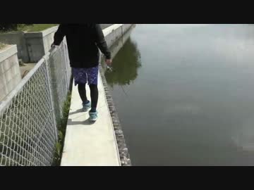 歩き釣りでバスを釣り上げろ