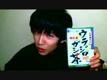 ウラジロガシ茶飲んでみた