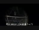夜の動物観察シリーズ 005【闇夜に潜む獣を探そう！】2016.4.29 003
