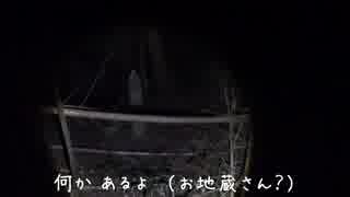 夜の動物観察シリーズ 005【闇夜に潜む獣を探そう！】2016.4.29 003