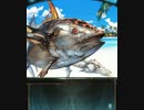グランブルーファンタジー 蒼海を征く暗黒巨大魚(1/2)