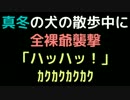 真冬の犬の散歩中に全裸爺襲撃　「ハッハッ！」ｶｸｶｸｶｸｶｸ【2ch】