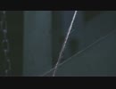 Daisy*glitteR 「Affectation」