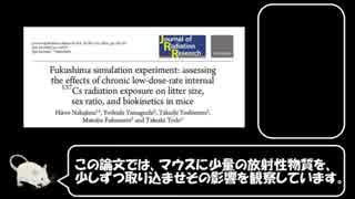 日本政府の定めるセシウムの基準値は本当に安全なのか検証してみた