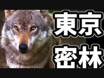 東京で弱肉強食トーキョージャングル実況プレイ【23】
