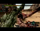 【実況】 今更モンハン2ndGを初見プレイ 番外編2 -ファミ通 2頭の女王-