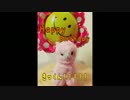 【にゃんこす】全身でお祝いしてみた【きっくん生誕祭】