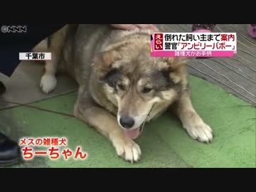 お手柄犬に涙「あいつに会えてよかった…」